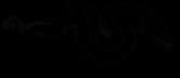 honey-murena-pass.webp