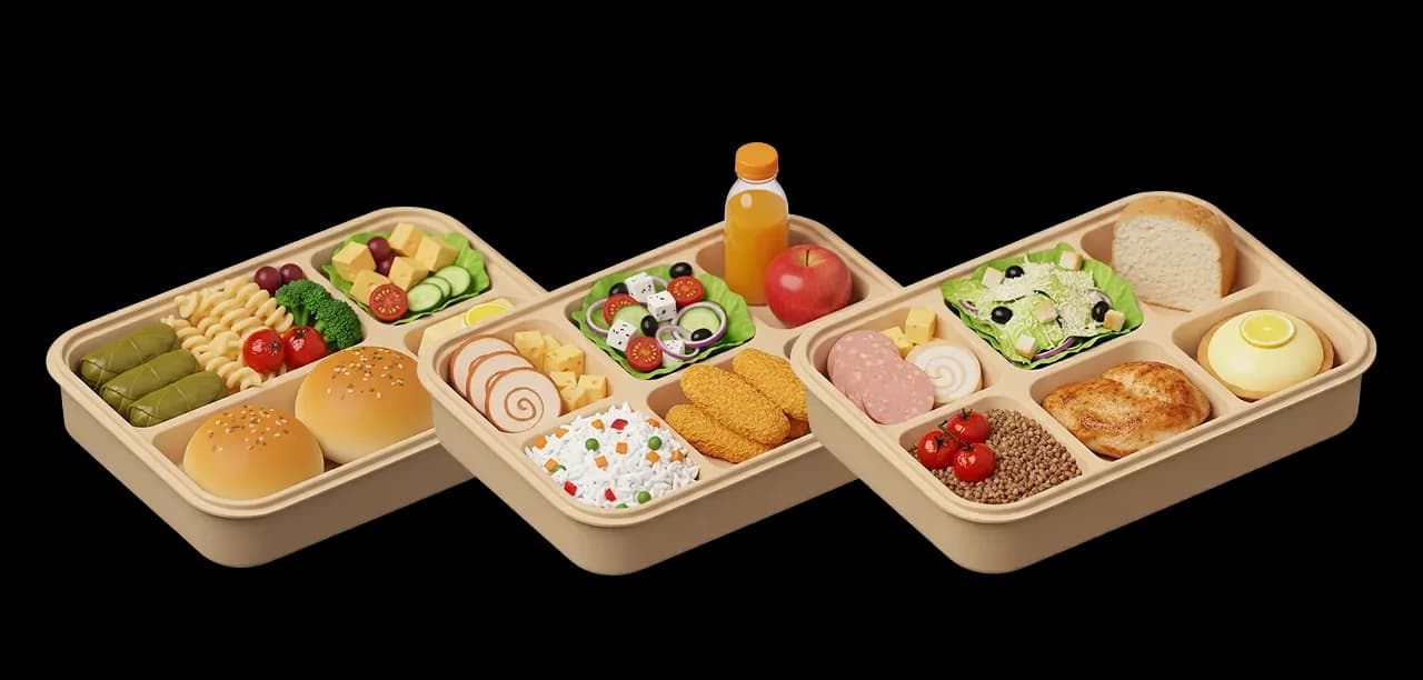 Meals in food trays